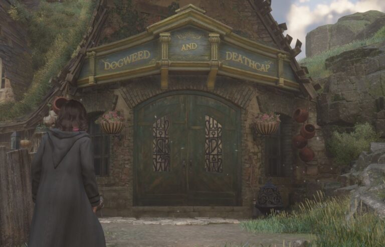If you want to learn Hogwarts Legacy Dogweed and Deathcap location to buy all you need to grow things and make goods, we've got you covered.