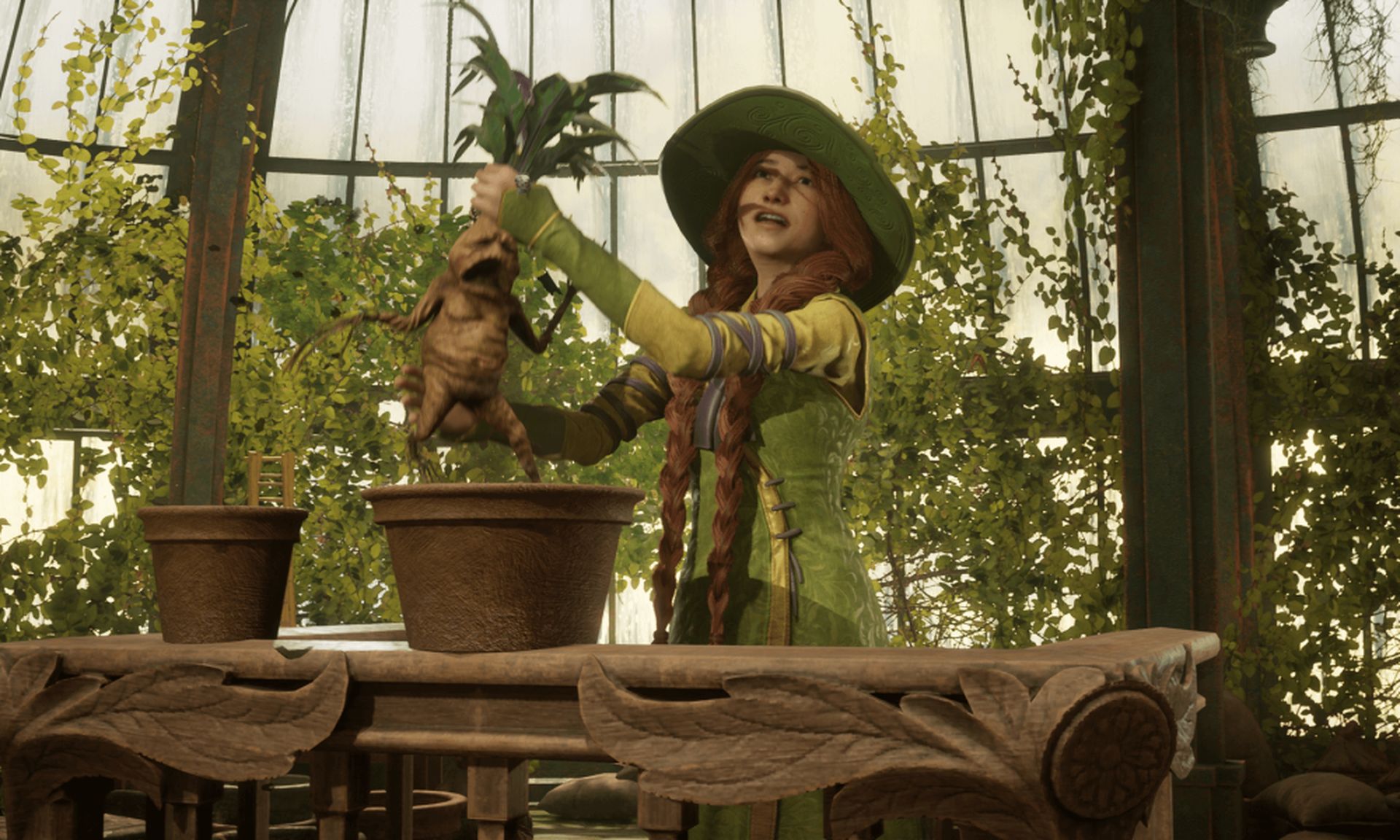 Today, we'll be going over Hogwarts Legacy Mandrake locations as well as how do you buy and plant Mandrake seeds, so you have them whenever you need them in...