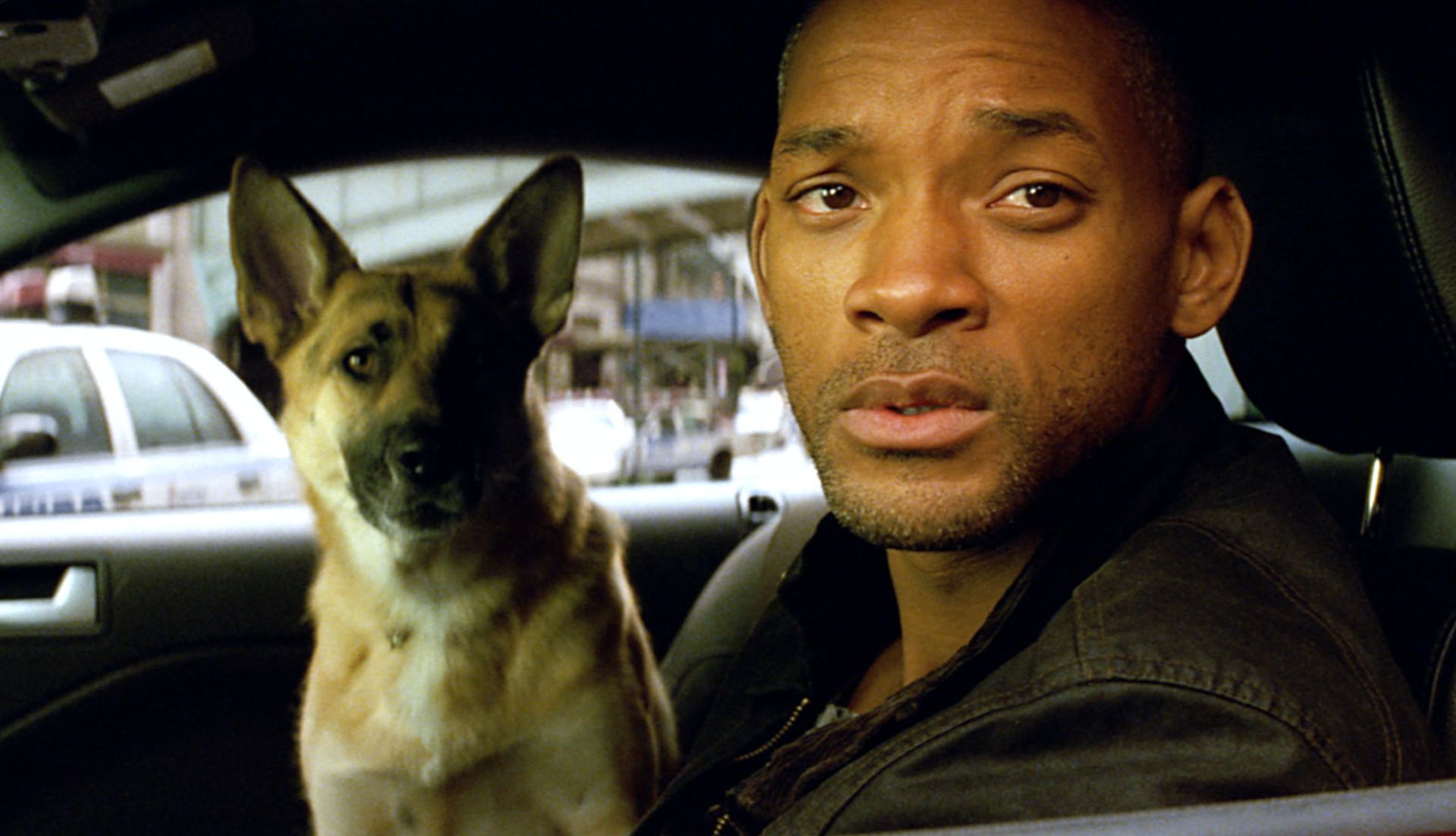 I Am Legend, a box office success for Will Smith in 2007, had a polarizing ending, but there is an I Am Legend alternate ending that more accurately reflects...