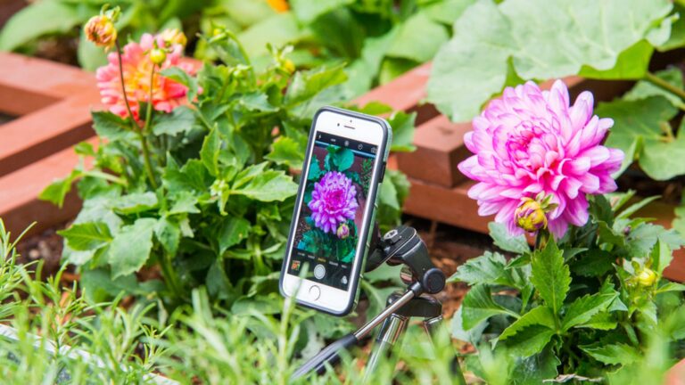 Finest spring-themed wallpapers for you to enjoy during the season