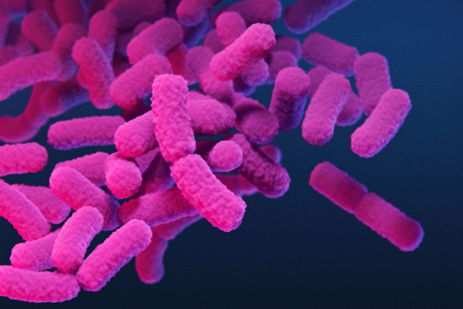 CDC warns drug resistant stomach bug News Republic