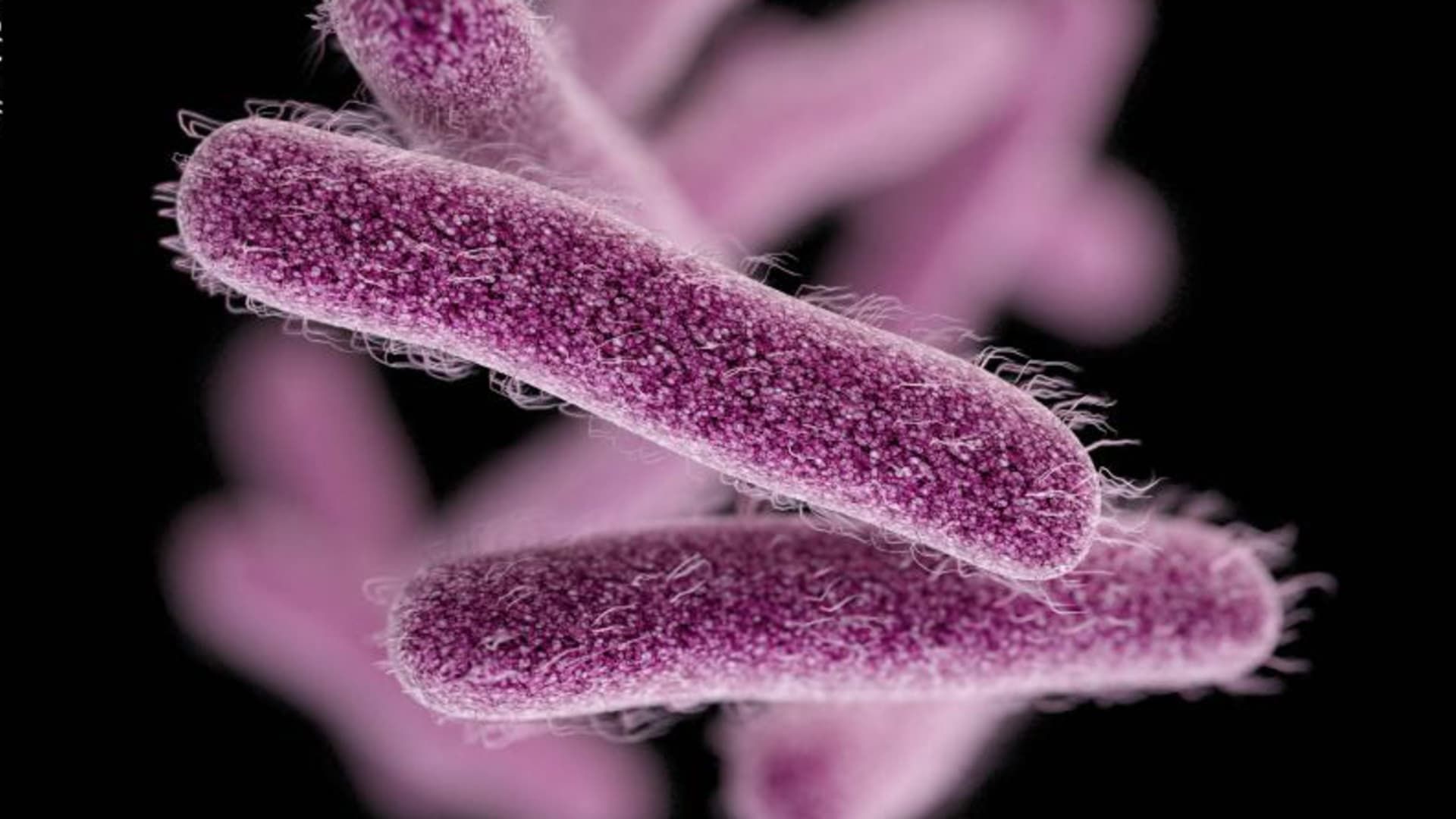 CDC warns drug resistant stomach bug News Republic