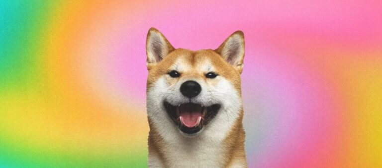 Today we will be covering the most important image on the internet, ten of them to be exact, and give you why we think they are the most important. Let's see...