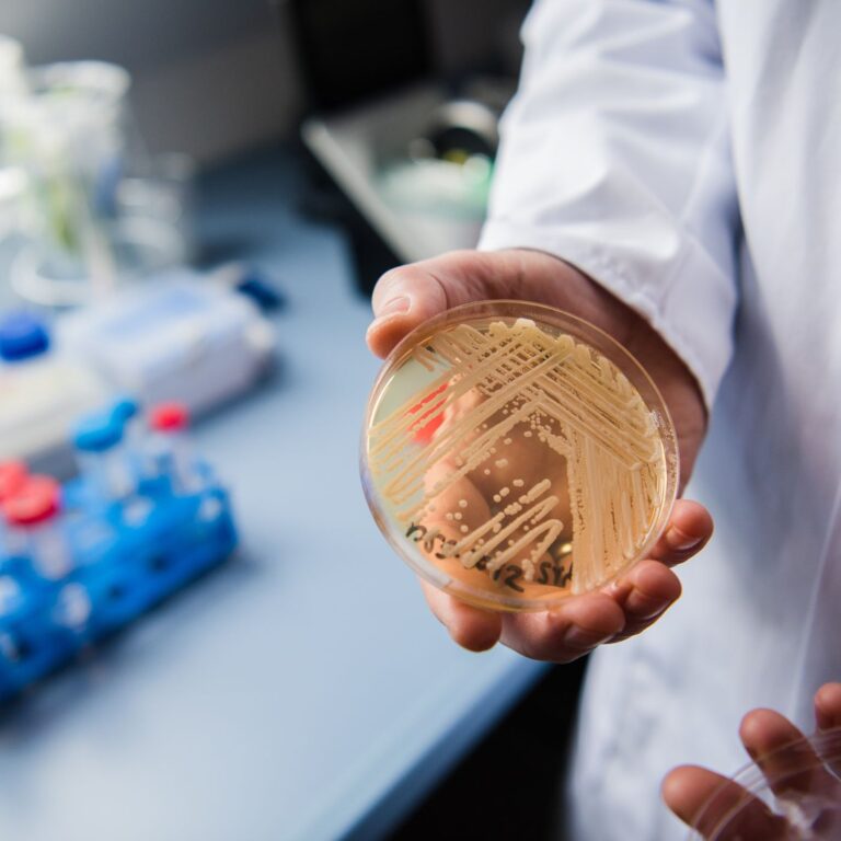 Dangerous fungus infection CDC